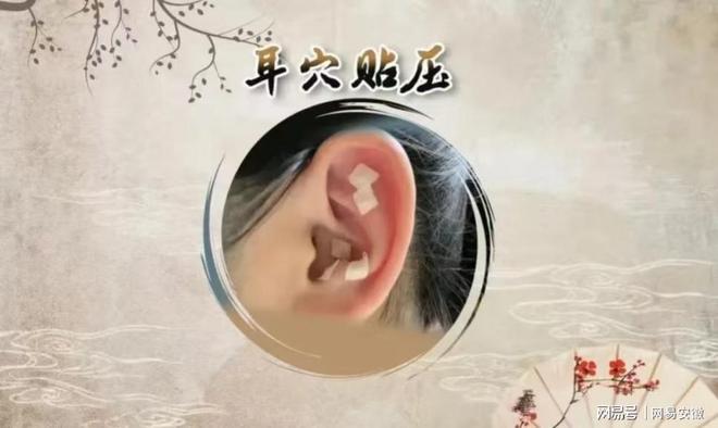 普瑞专家说一颗神奇的小种子--王不留行籽